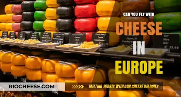 Cheesy Travels: A Guide to Flying with Dairy in Europe