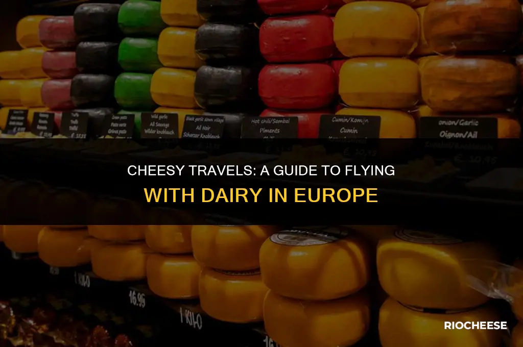 can you fly with cheese in europe