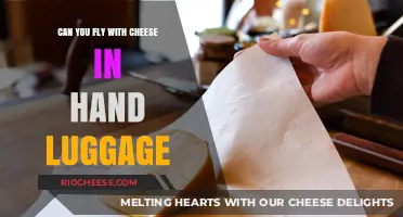 Cheesy Travels: Can You Fly with Dairy Delights in Hand Luggage?