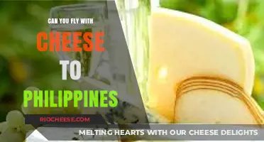 Cheesy Travels: A Guide to Flying with Dairy to the Philippines