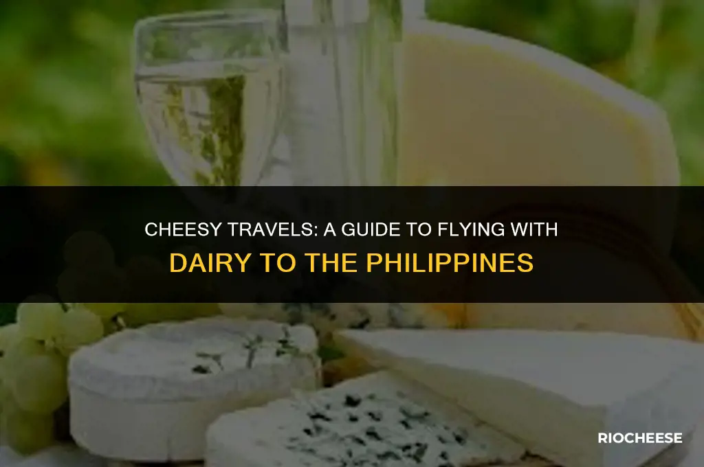 can you fly with cheese to philippines