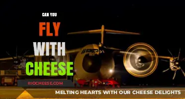 The Cheesy Traveler: Can You Really Fly with Cheese?