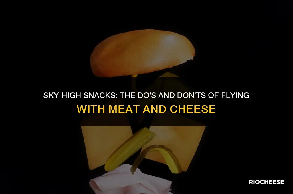 can you fly with meat and cheese on a plane