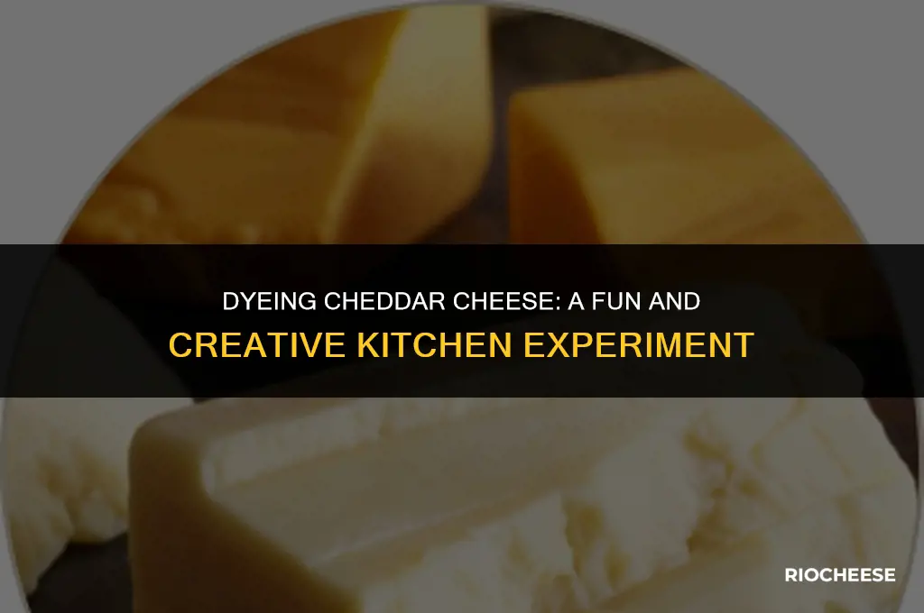 can you food dye cheddar cheese