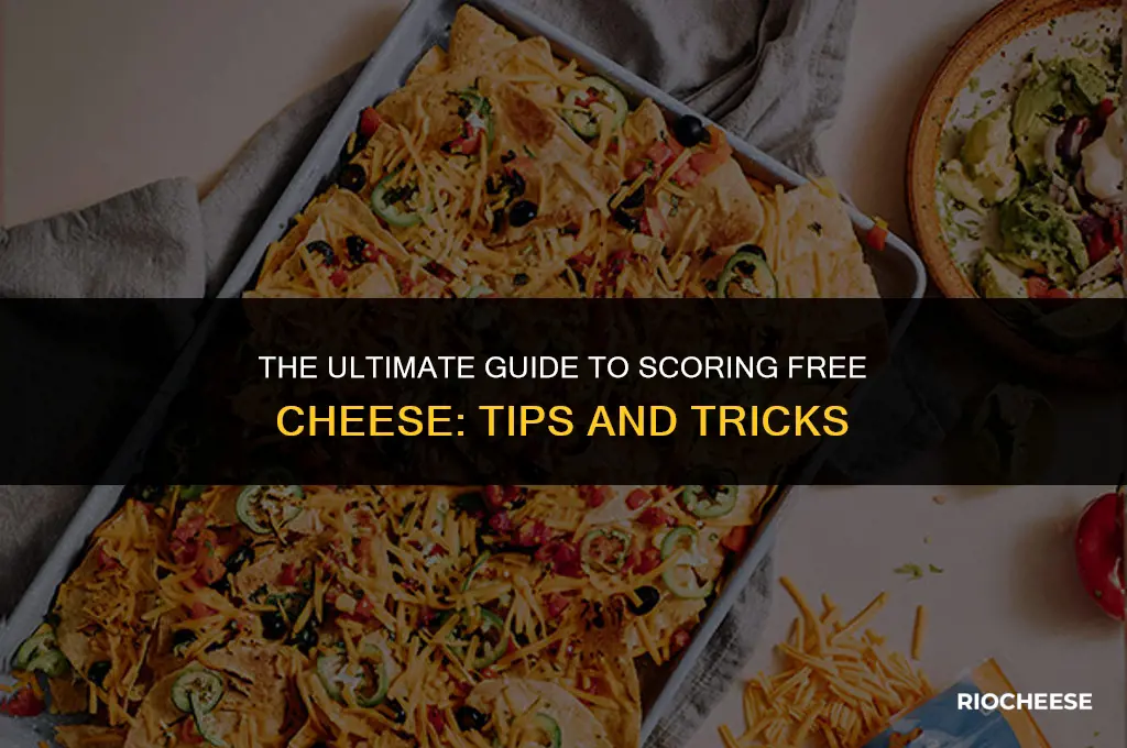 can you free cheese