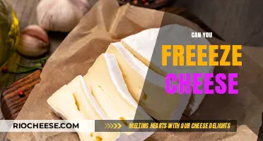 The Ultimate Guide to Freezing Cheese: Tips and Tricks
