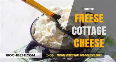 The Ultimate Guide to Freezing Cottage Cheese: Tips and Tricks