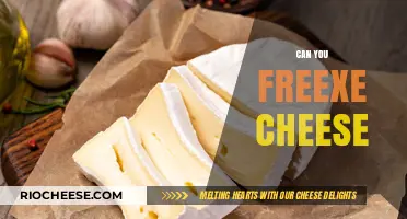 The Surprising Truth About Freezing Cheese: A Complete Guide