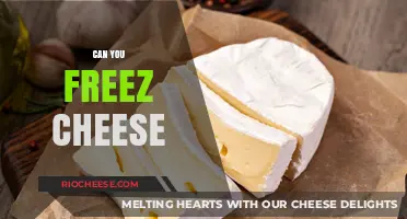 The Ultimate Guide to Freezing Cheese: Tips and Tricks