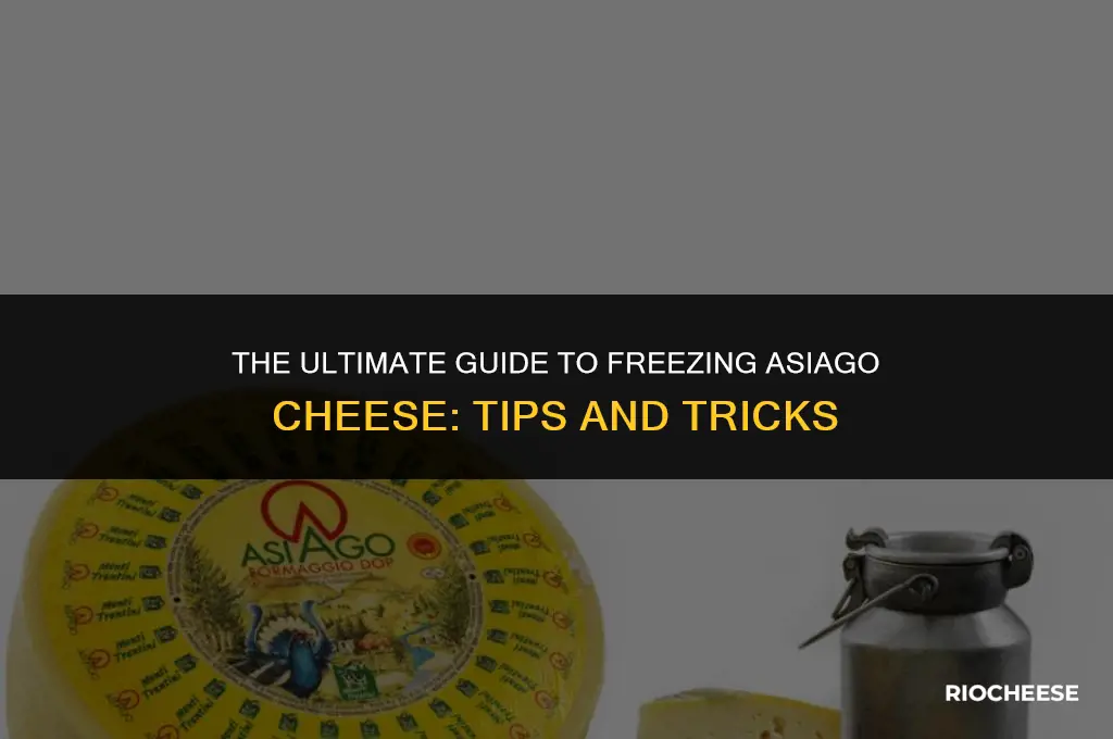 can you freeze asiago cheese