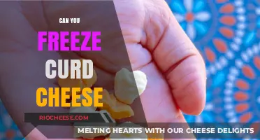 From Farm to Freezer: The Surprising Truth About Freezing Curd Cheese