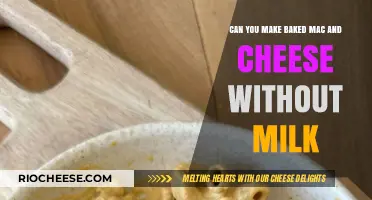 Dairy-Free Delight: Baked Mac and Cheese Without Milk