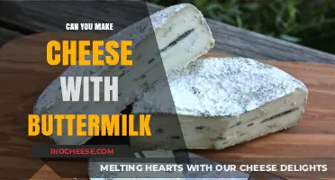 From Whey to Wow: The Buttermilk Cheese-Making Journey