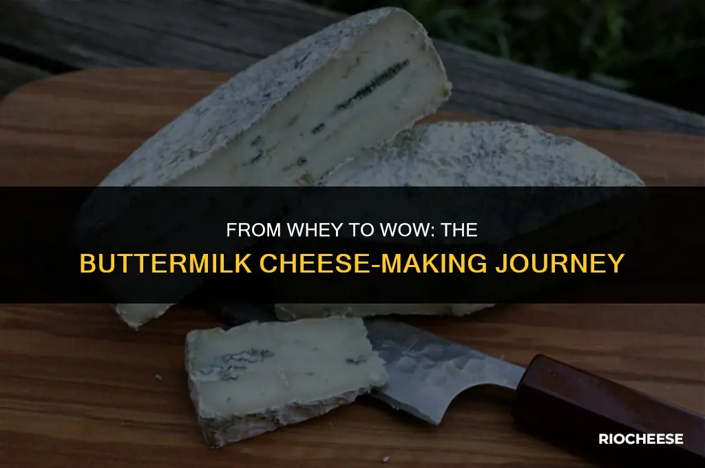 can you make cheese with buttermilk