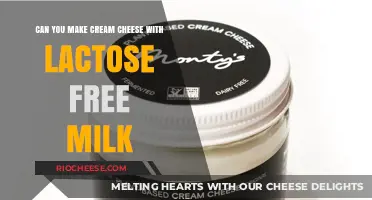 Lactose-Free Cream Cheese: A Delicious Dairy-Free Alternative