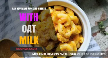 Creamy Oat Milk Mac and Cheese: A Dairy-Free Delight