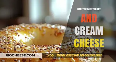 Delicious Fusion: Yogurt and Cream Cheese Mixture Explained