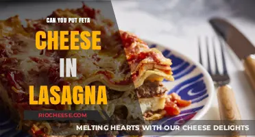 Feta Fusion: Reinventing Lasagna with a Tangy Twist