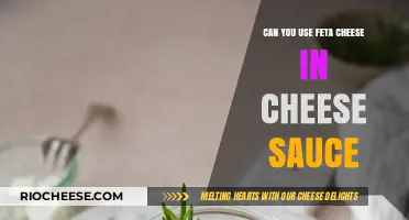Feta Fusion: Elevating Cheese Sauce with a Tangy Twist