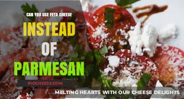 Feta vs. Parmesan: A Cheesy Substitute Showdown