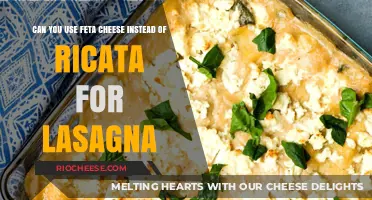 Feta vs. Ricotta: A Cheesy Debate in Lasagna Land