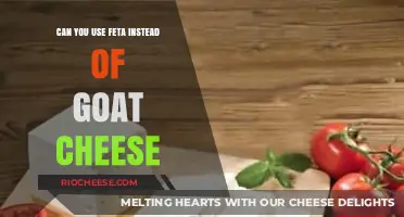 Feta vs. Goat Cheese: A Tangy Substitute in Your Favorite Dishes