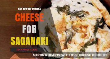 Fontina's Saganaki Potential: A Cheesy Greek Delight?
