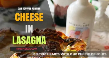 Fontina Cheese in Lasagna: A Delicious Twist on a Classic Dish