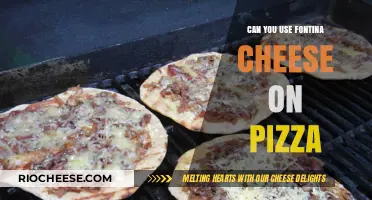 Fontina Cheese on Pizza: A Delicious Twist to Your Favorite Dish