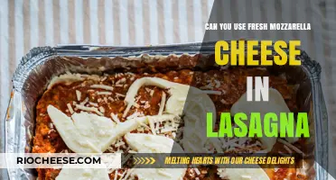 Elevate Your Lasagna: The Fresh Mozzarella Cheese Twist