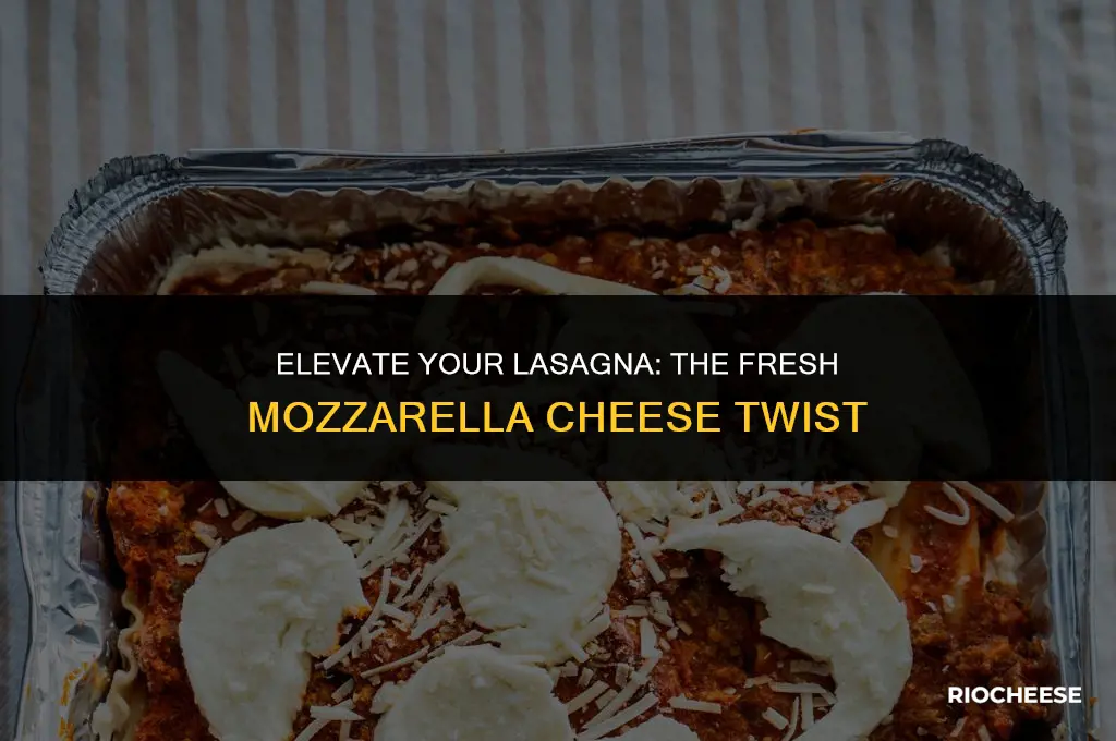 can you use fresh mozzarella cheese in lasagna