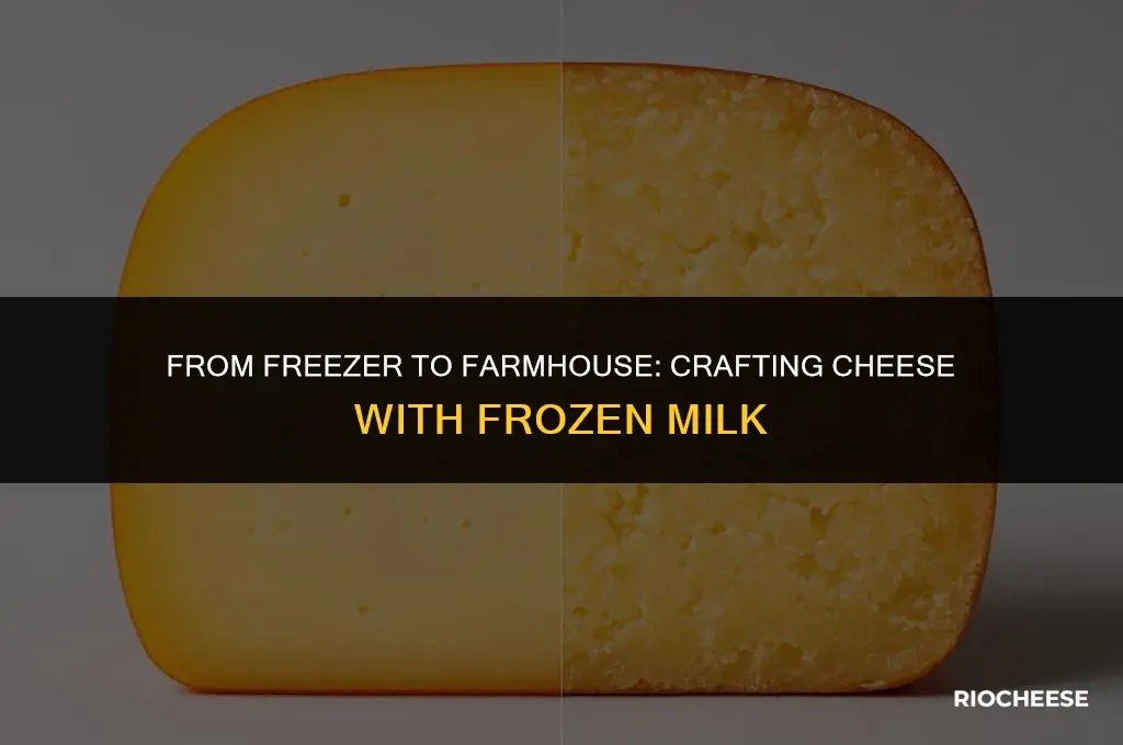 can you use frozen milk to make cheese