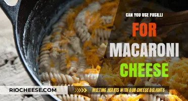 Fusilli Twist: A Delicious Take on Classic Macaroni Cheese