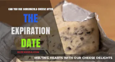 Savoring Gorgonzola: A Guide to Cheese Expiration and Beyond