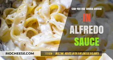 Gouda Twist: Elevating Alfredo Sauce with a Cheesy Surprise