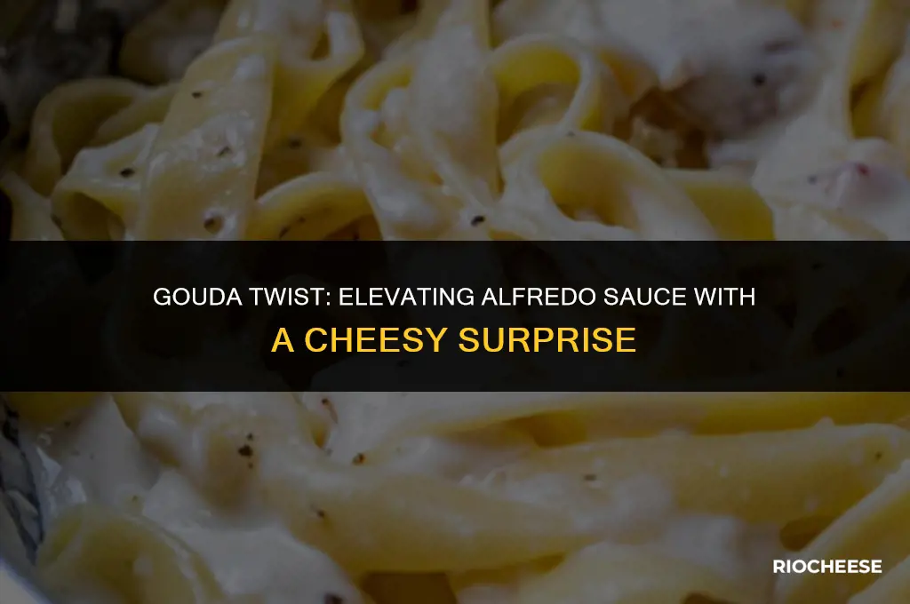 can you use gouda cheese in alfredo sauce