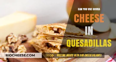 Gouda Quesadilla Delight: A Cheesy Twist on a Classic Favorite