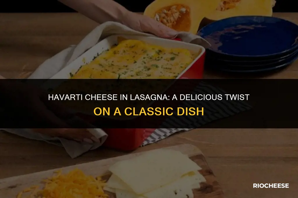 can you use havarti cheese in lasagna
