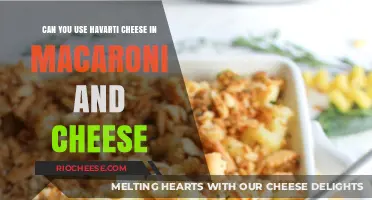 Creamy Havarti Twist: Reinventing Classic Macaroni and Cheese