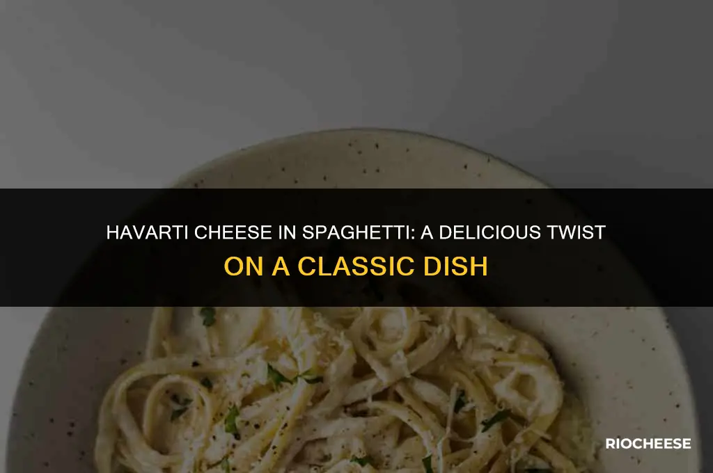 can you use havarti cheese in spaghetti