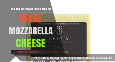 From Homogenized Milk to Mozzarella: A Cheese Lover's Guide