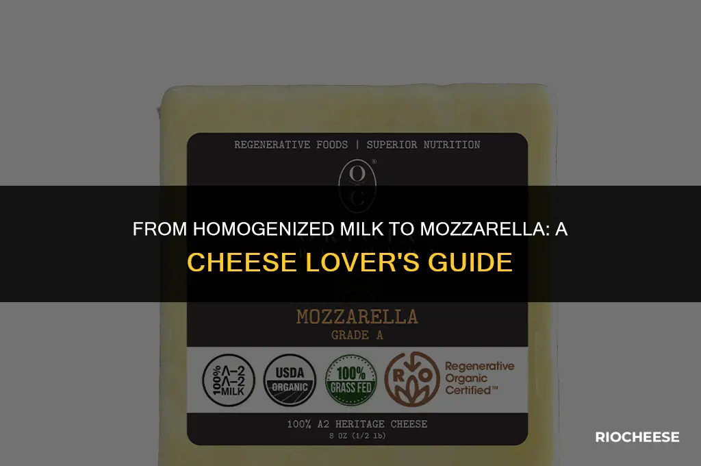 can you use homogenized milk to make mozzarella cheese