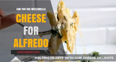 Exploring Mozzarella's Role in Authentic Alfredo Sauce Recipes