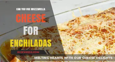 Mozzarella Magic: A Cheesy Twist on Classic Enchiladas