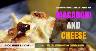 Mozzarella Magic: Reinventing Mac and Cheese with a Twist