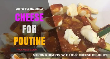 Mozzarella Magic: A Delicious Twist on Classic Poutine