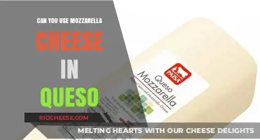 Mozzarella in Queso: A Surprisingly Delicious Cheese Swap!