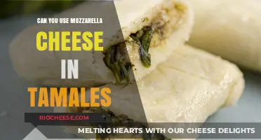 Exploring Tamale Fillings: Mozzarella Cheese as a Tasty Twist