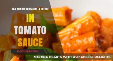 Mozzarella Magic: Elevating Tomato Sauce to New Heights