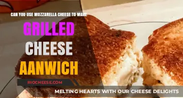 Mozzarella Magic: Grilling the Perfect Cheese Sandwich